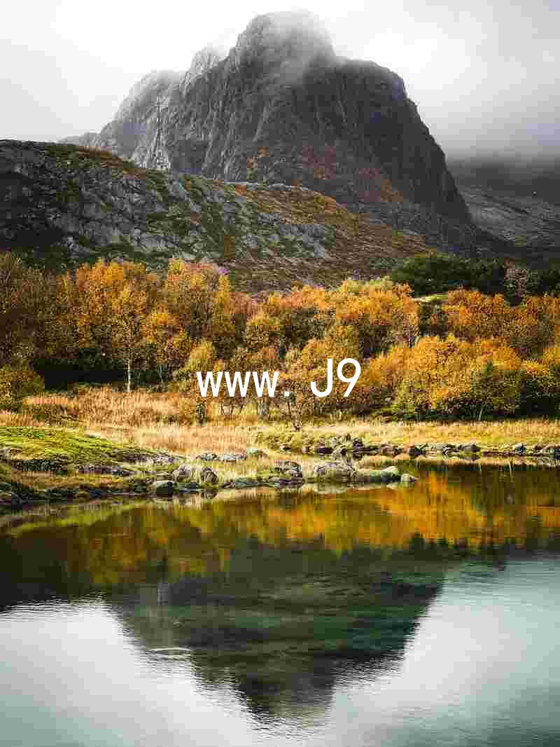 www.J9