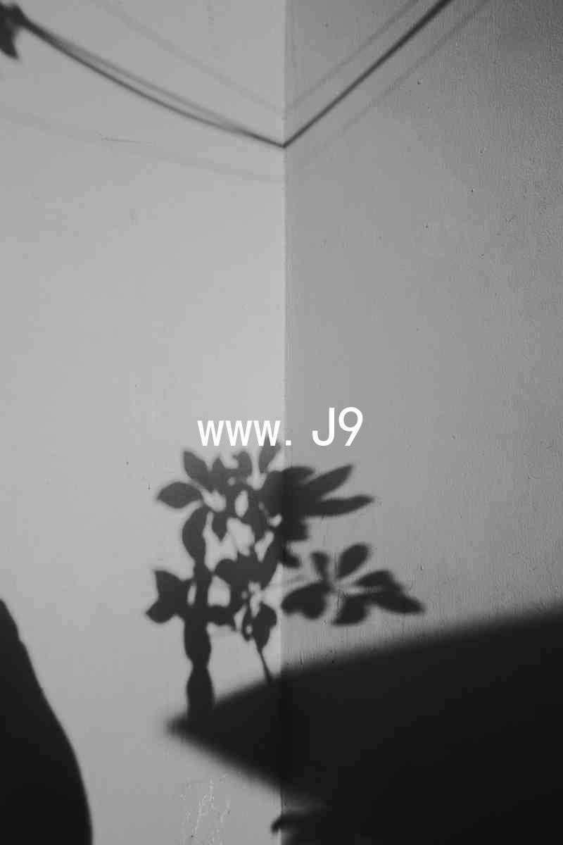 www.J9