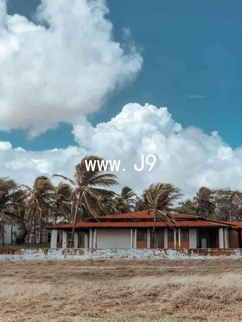 www.J9