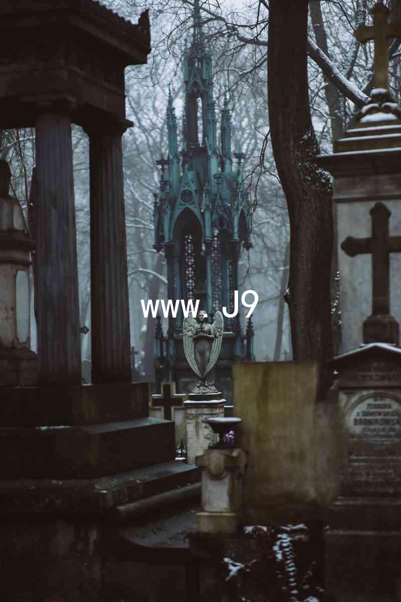 www.J9