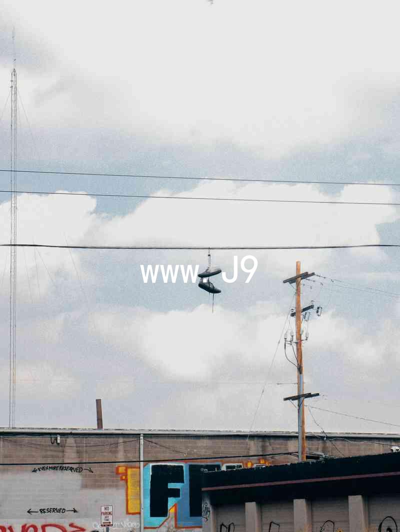 www.J9