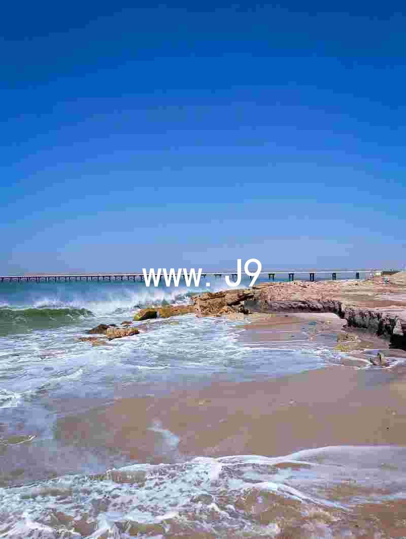 www.J9